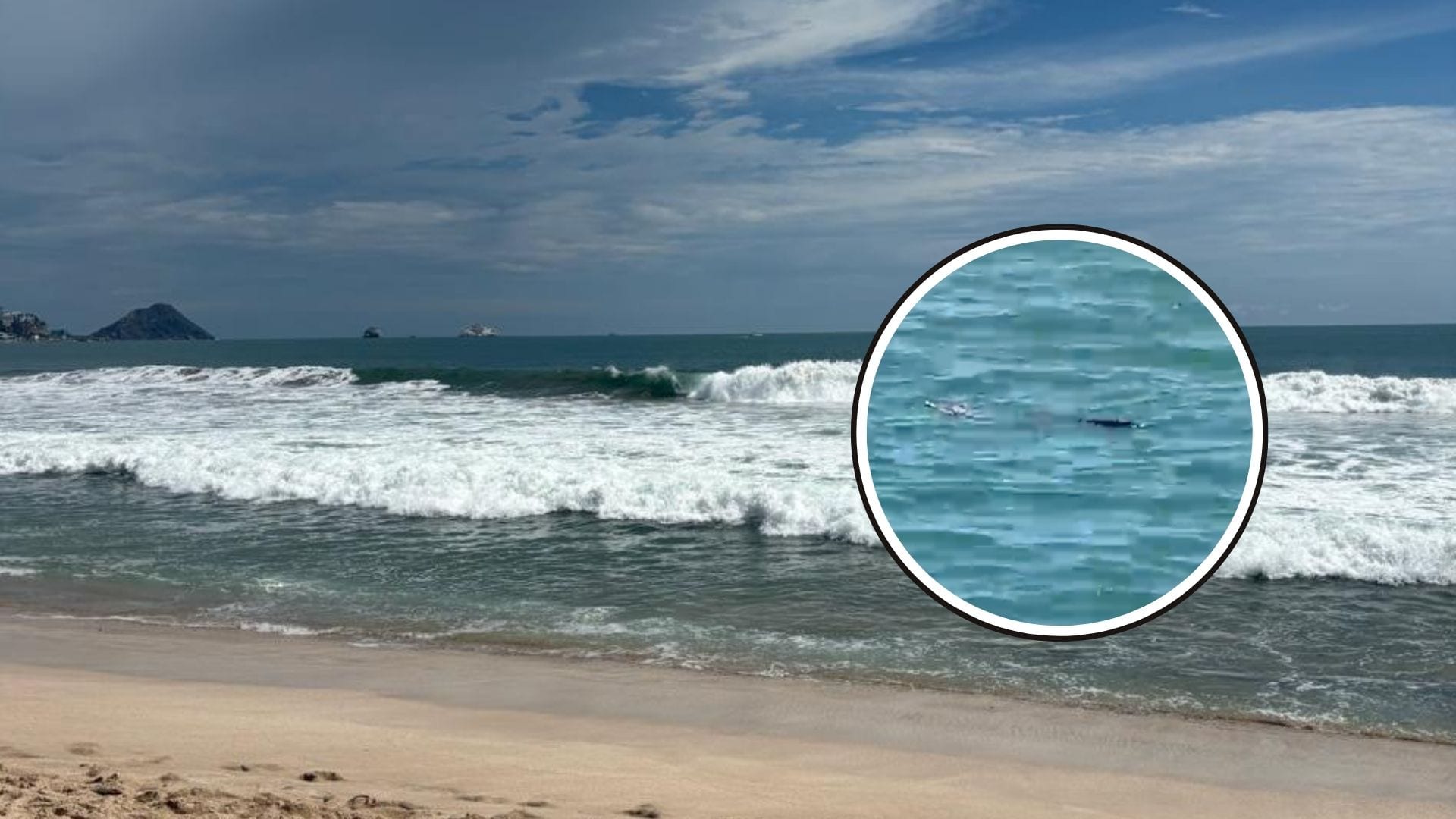 Restringen zona de playa por presencia de cocodrilo en Mazatlán