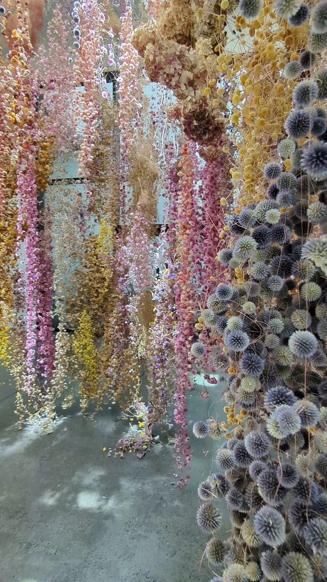 Chandran Gallery, photo 2