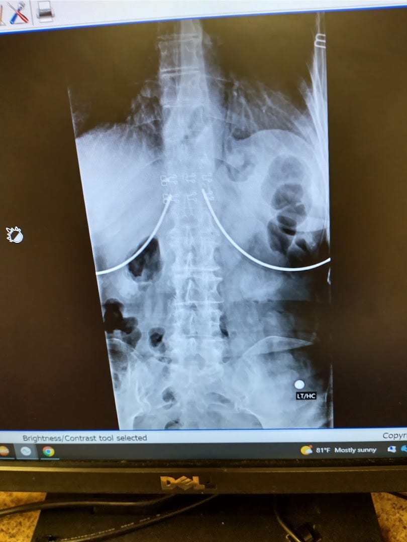 Gregory Gebauer, MD, photo 2