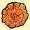 Marigold Electrolysis