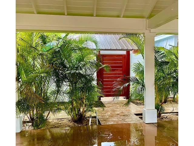 5 Palms