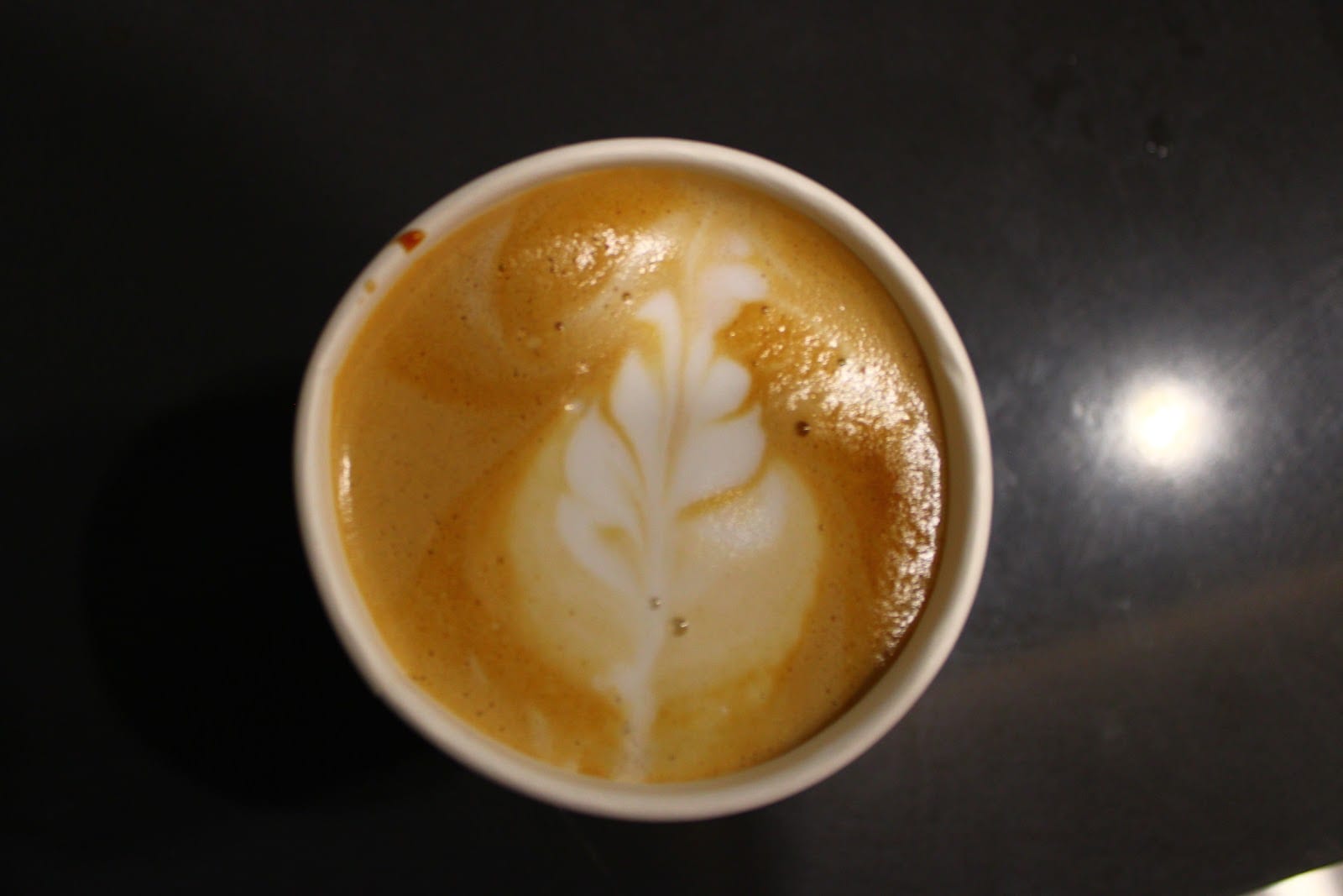 The Daily Blend Cafe