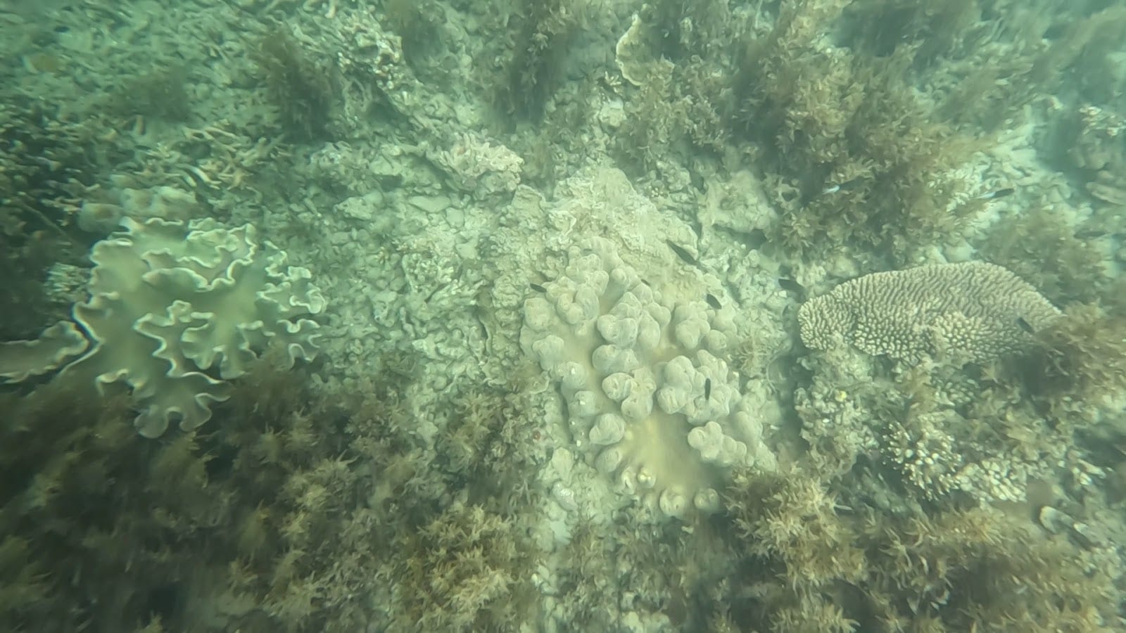Brampton Islands National Park, photo 2