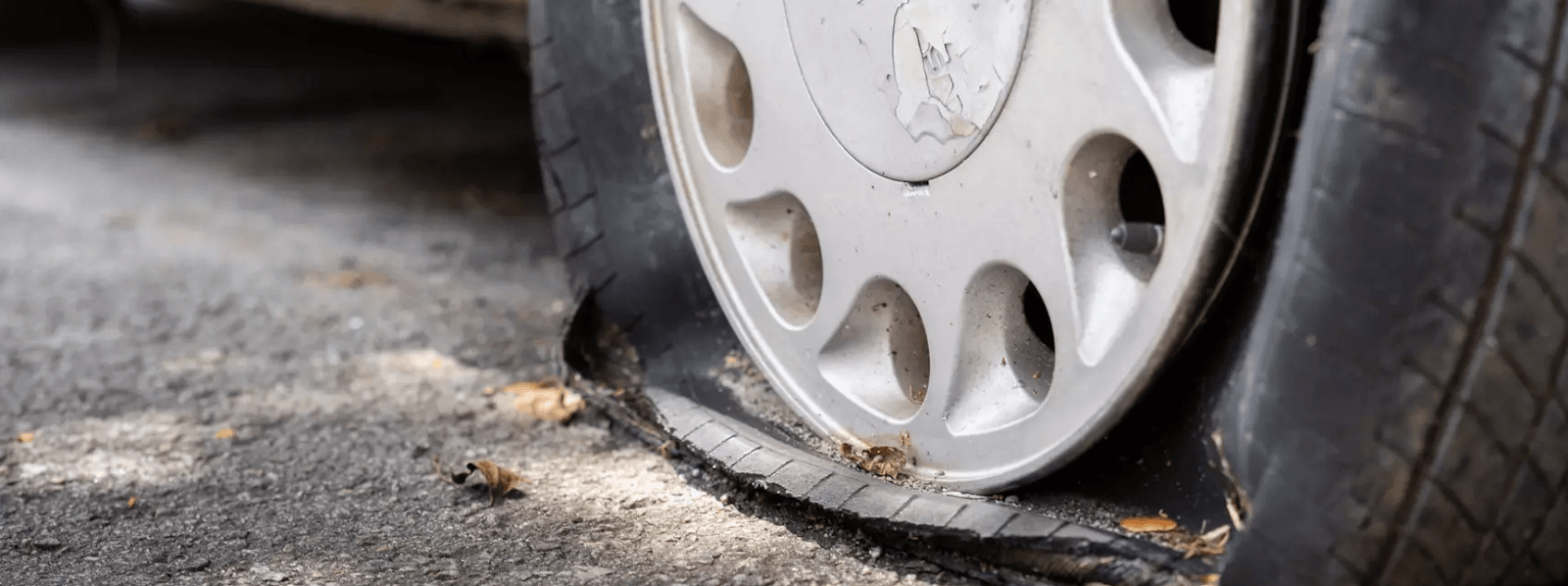 Discount Tire, photo 3