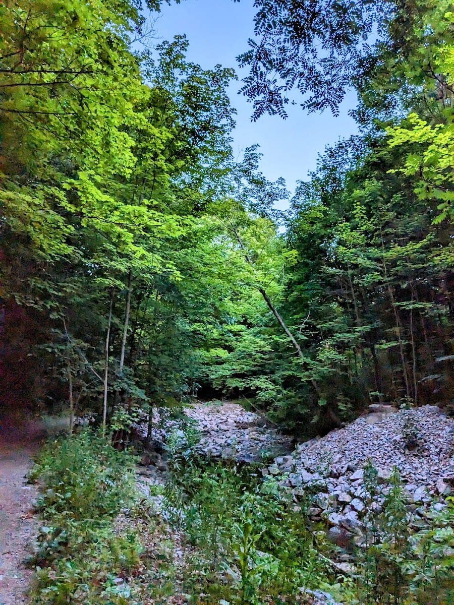 Start of walking trail, photo 3