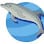 Dolphin Blue Mackay