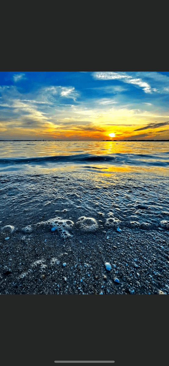 Sarasota Bay Real Estate