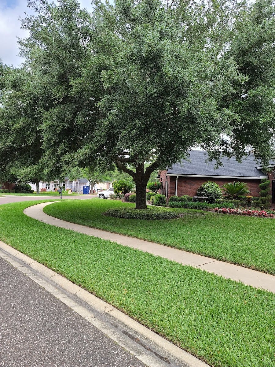 Root Solutions Termite, Lawn & Pest, photo 3