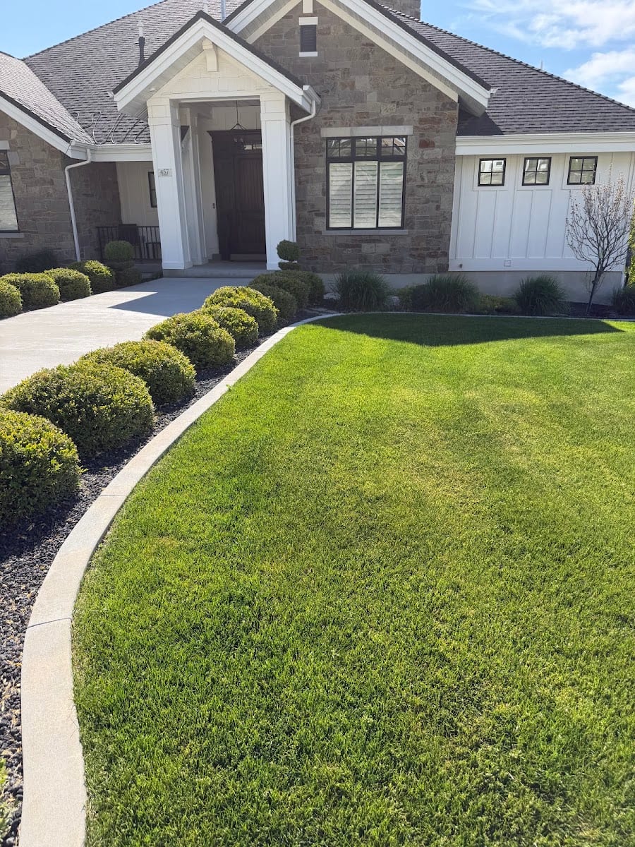 Buzz Co. Curbing