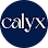 Calyx Physical Therapy