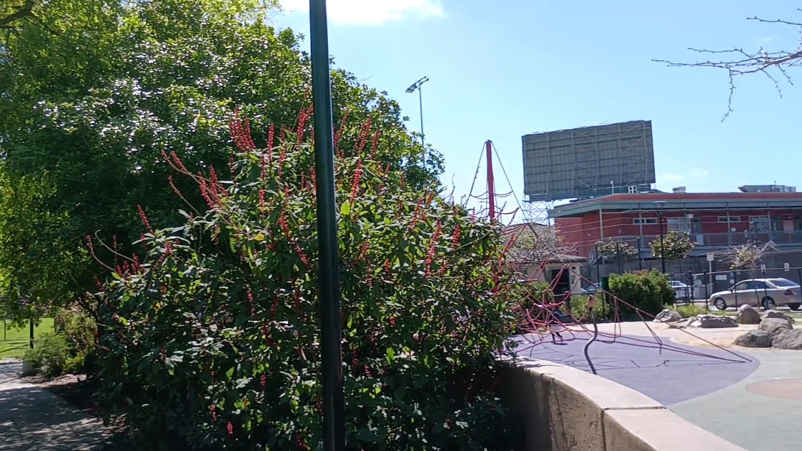 Victoria Manalo Draves Park, photo 2