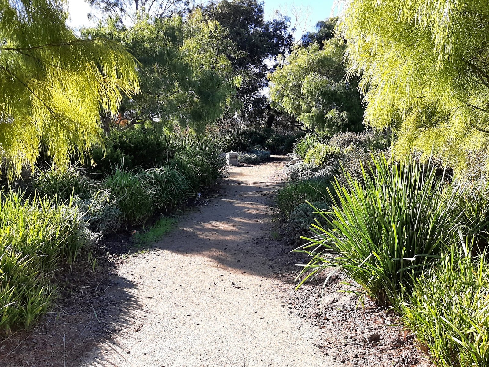 Bunguyan Reserve