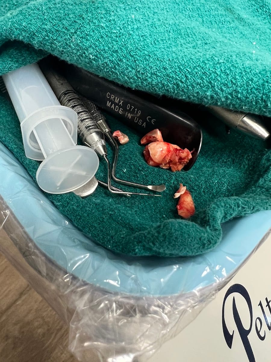 Gregory Dental, photo 3