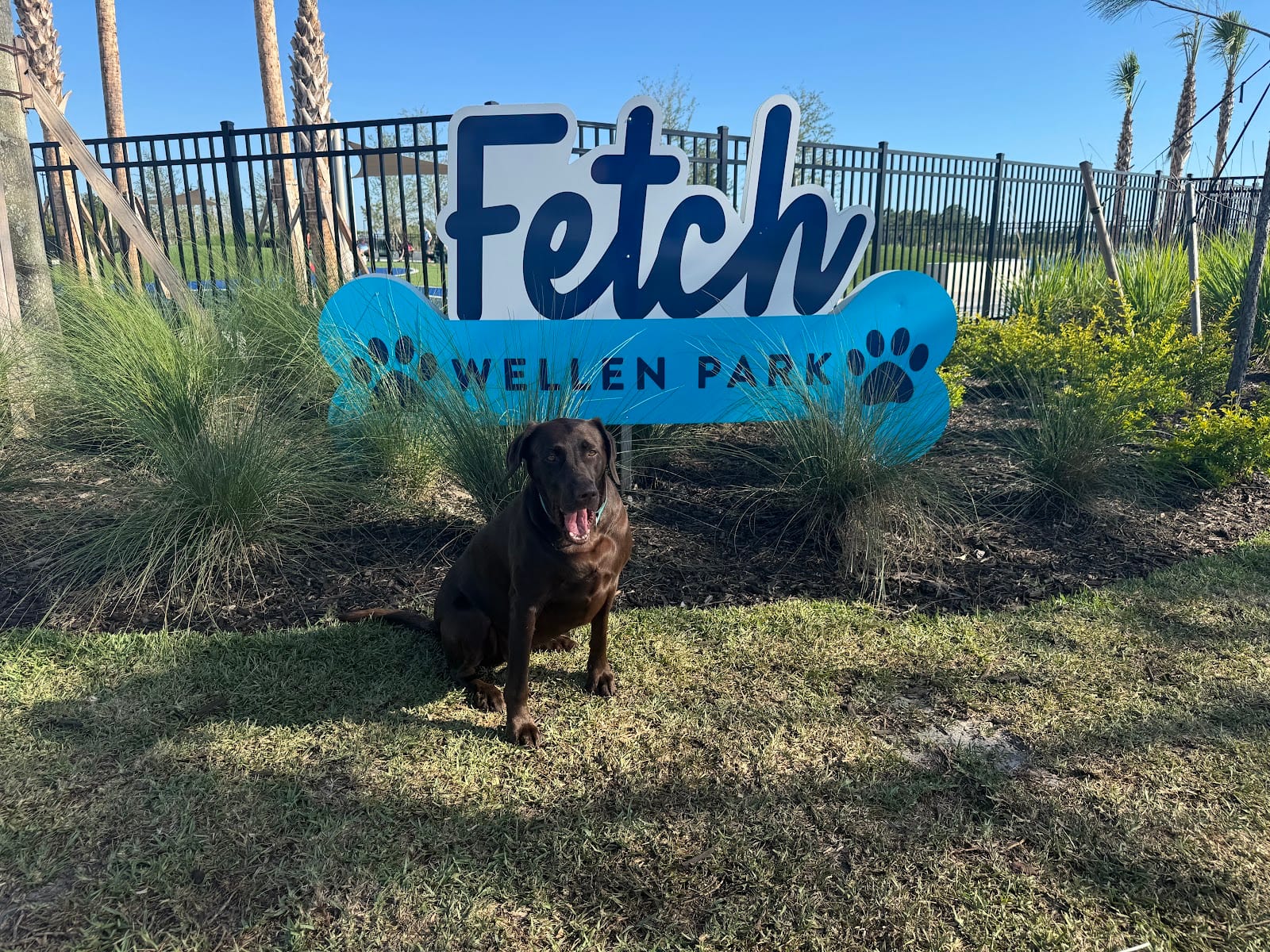 Fetch Paw Park