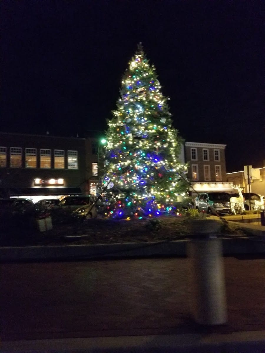 Nuala O'Leary, Parks Realty & Long & Foster Real Estate, Inc., photo 3