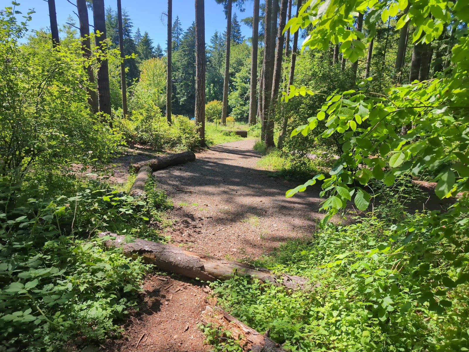 Evergreen Park