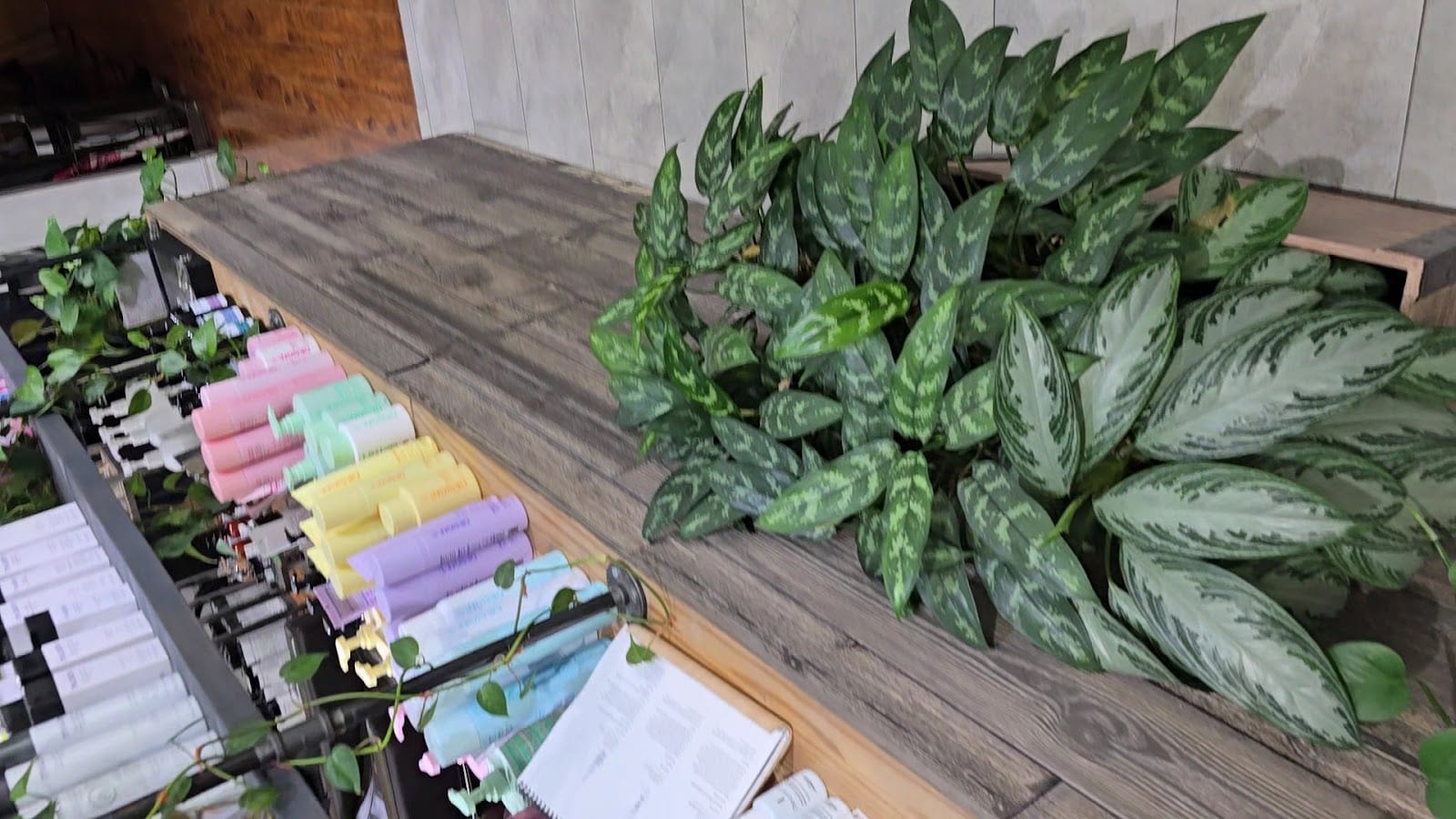 Balance Hair Studio, photo 3