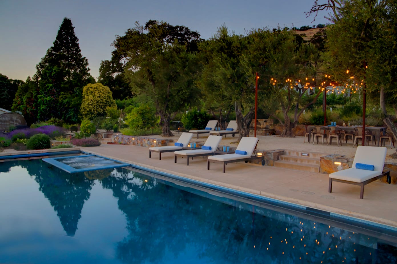 Jill Levy, Realtor | Napa Valley Homes and Estates, photo 2