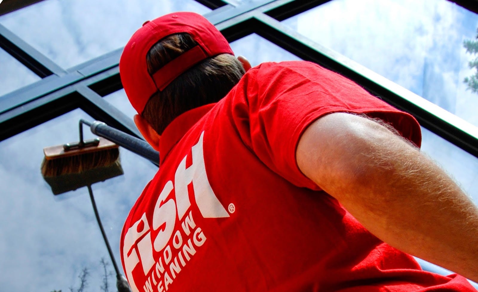 Fish Window Cleaning, photo 2