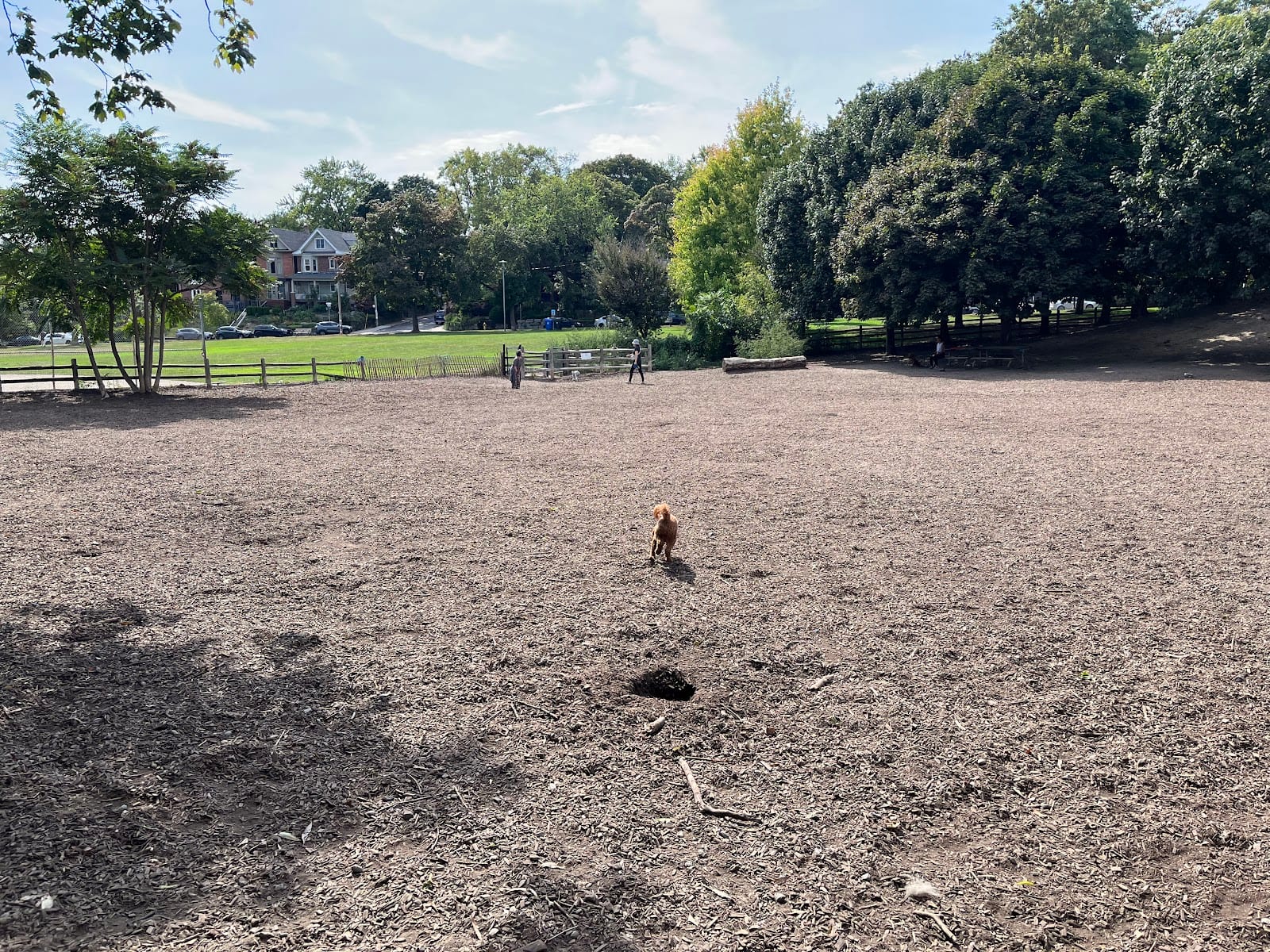 Withrow Park: Dog Park