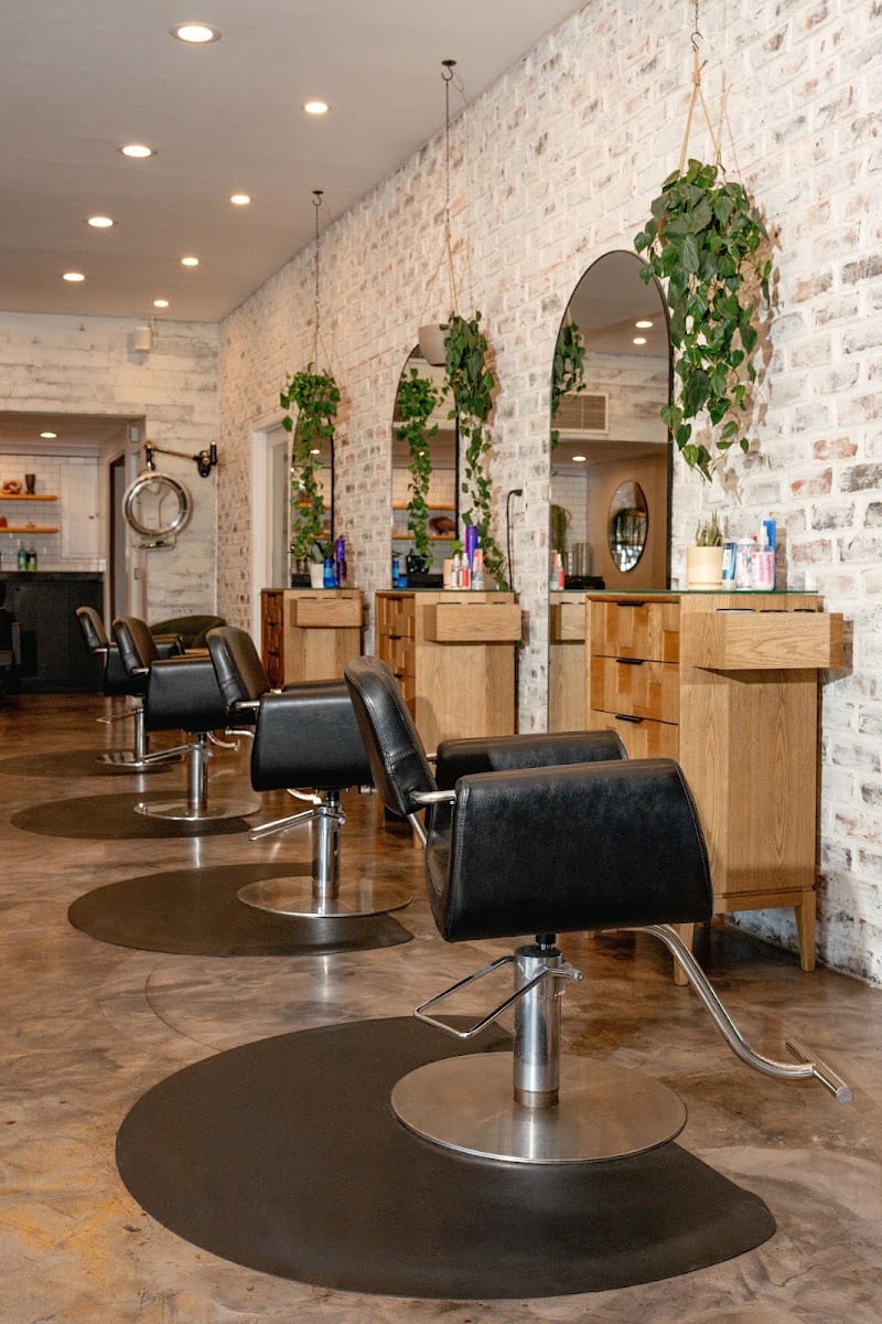 Lady & Wolf Salon, photo 2