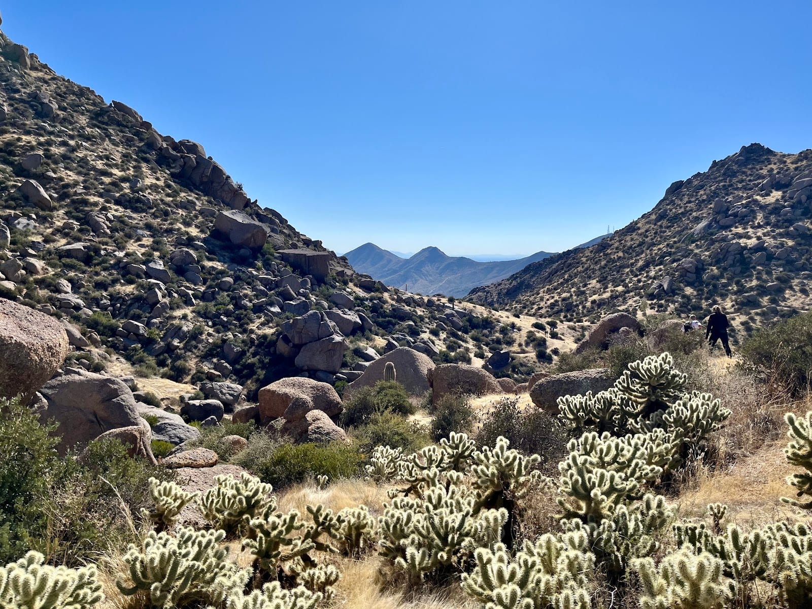Trail Head Preserve - McDowell Mountains