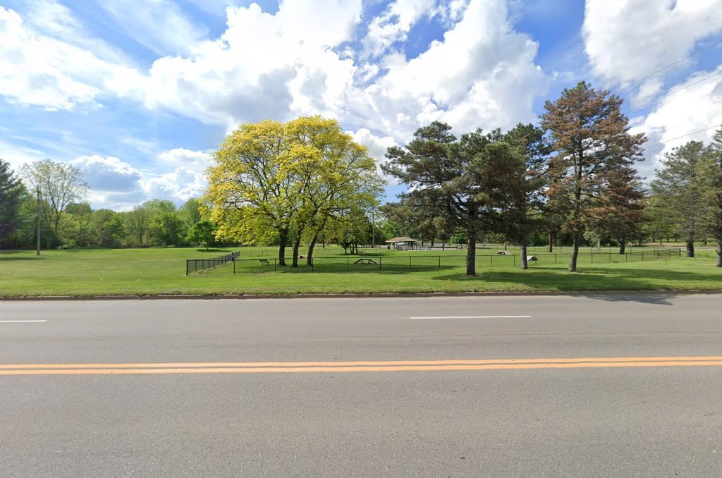 Springfield Dog Park, photo 4