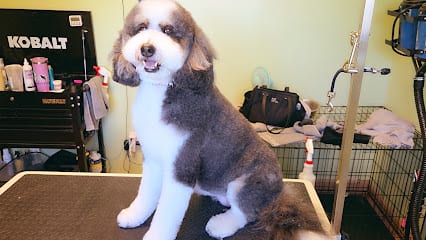 Hawkeye's Dog Spa