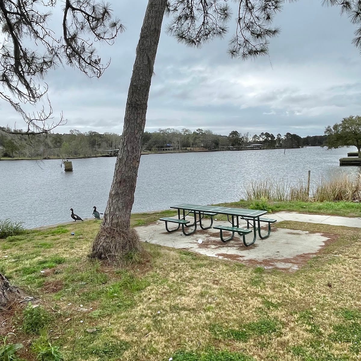 Dog River Park