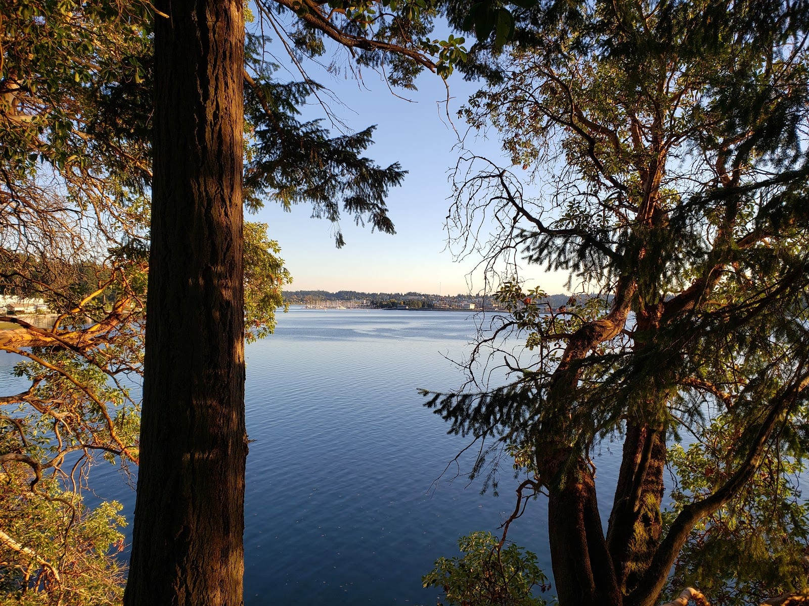 Squaxin Park Trailhead, photo 2