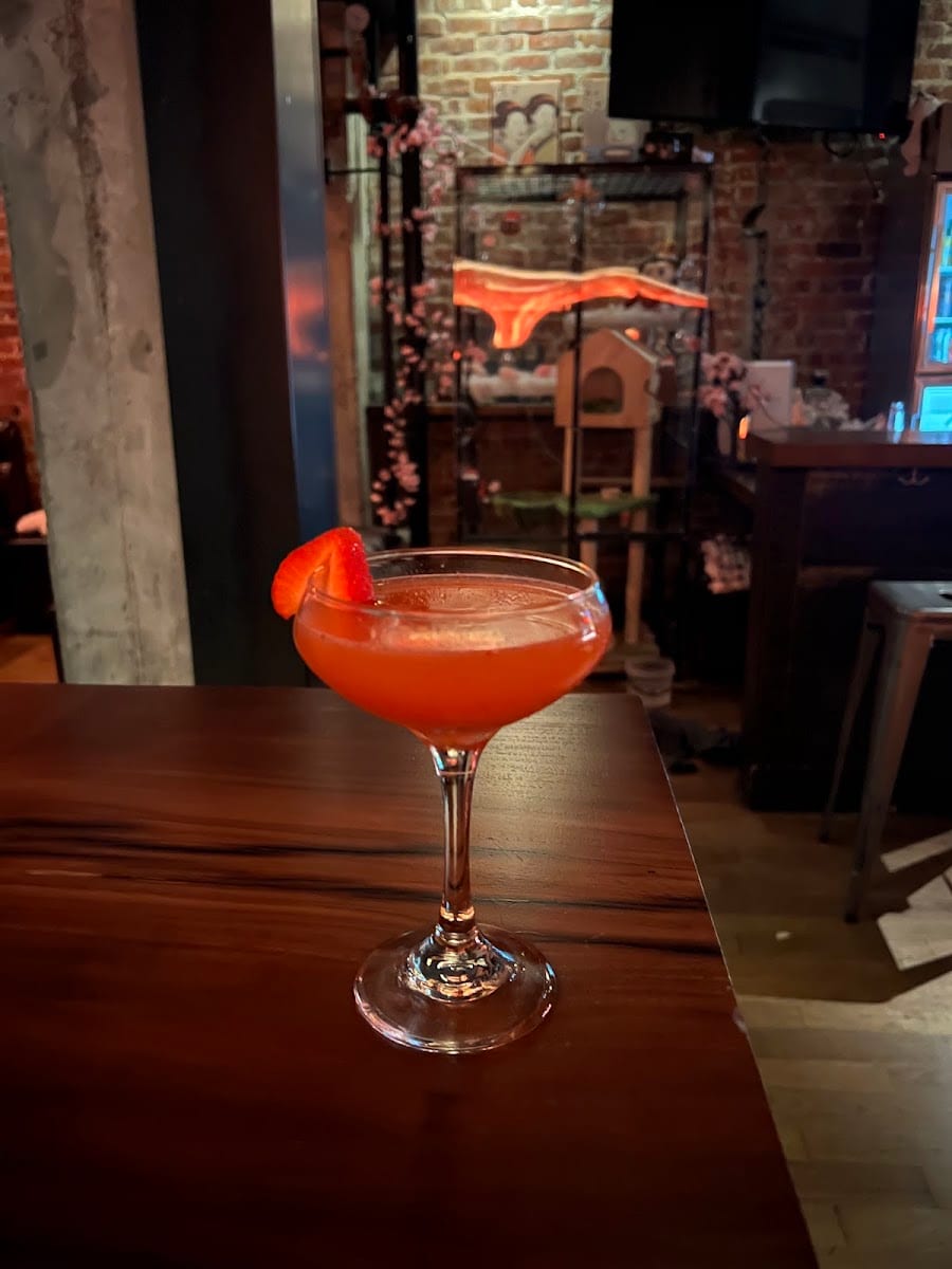 Lost Cat Bar & Bites, photo 4