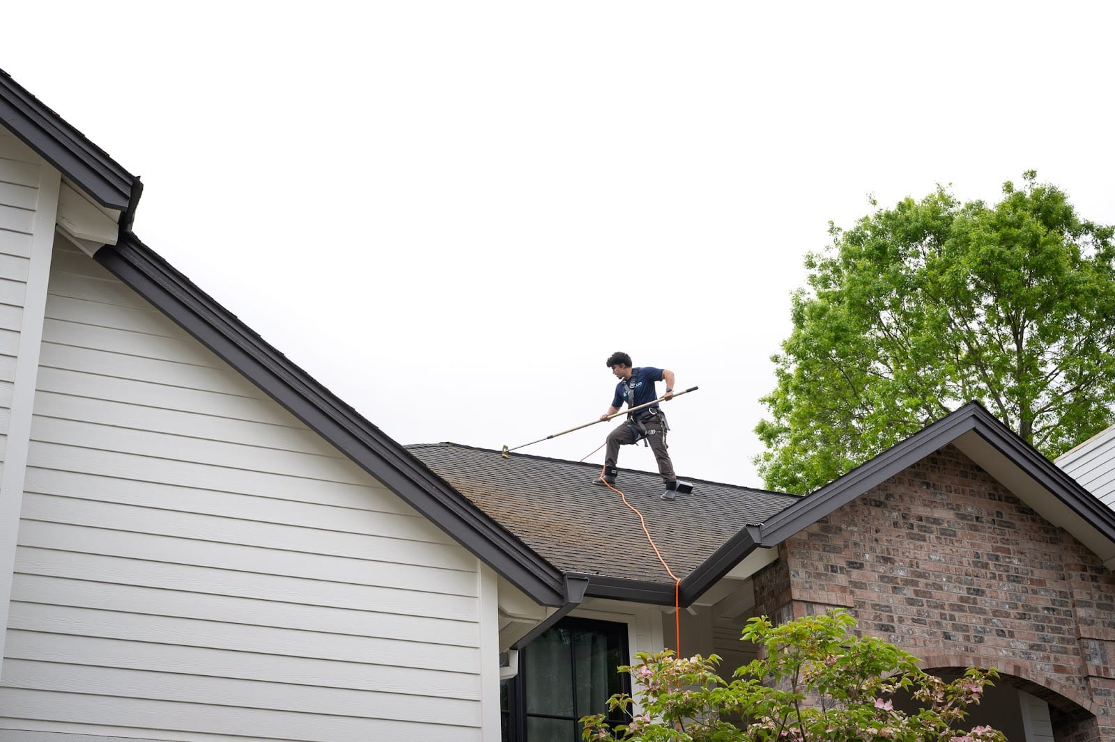 Wilderland Roof & Window Cleaning, photo 3
