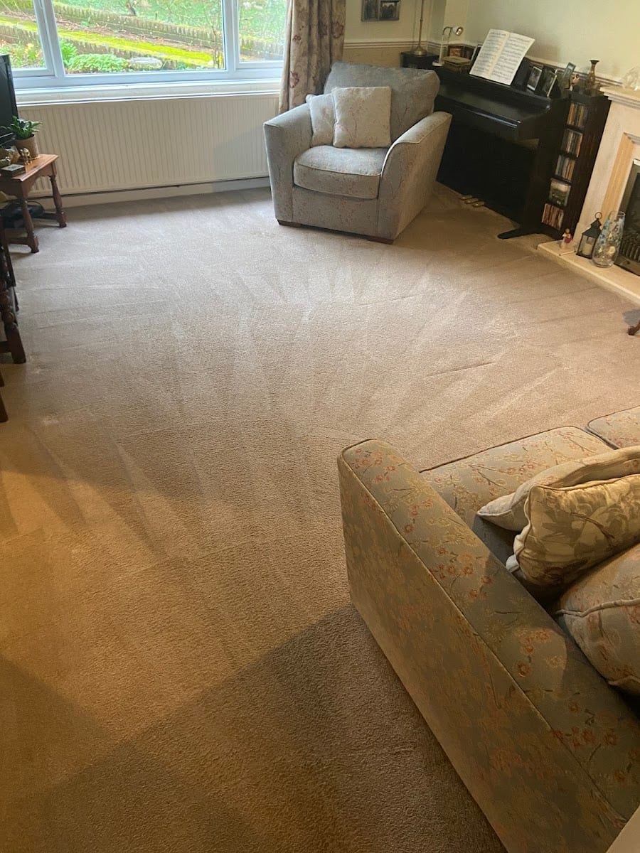 The Alternative Cleaning Company