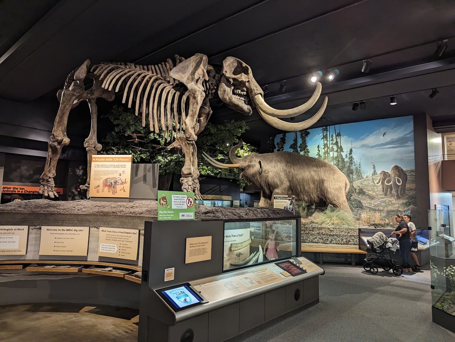 RMSC (Rochester Museum & Science Center), photo 3
