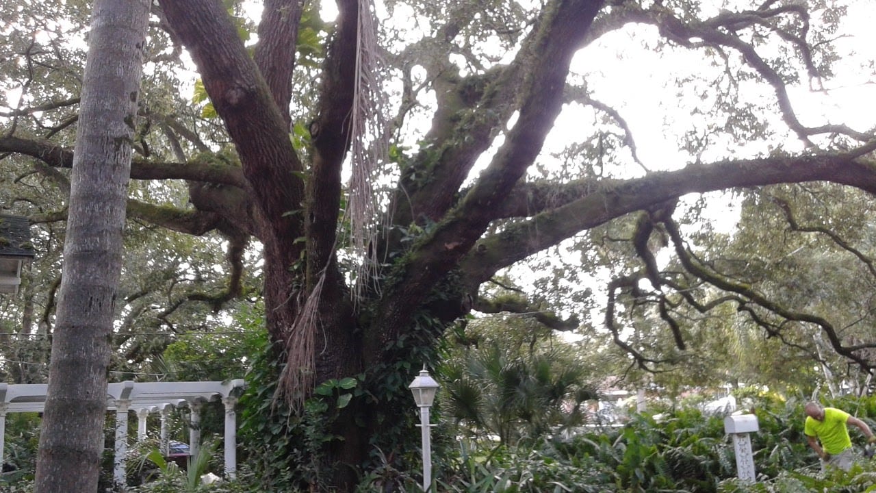 Riverview Terrace Park, photo 2