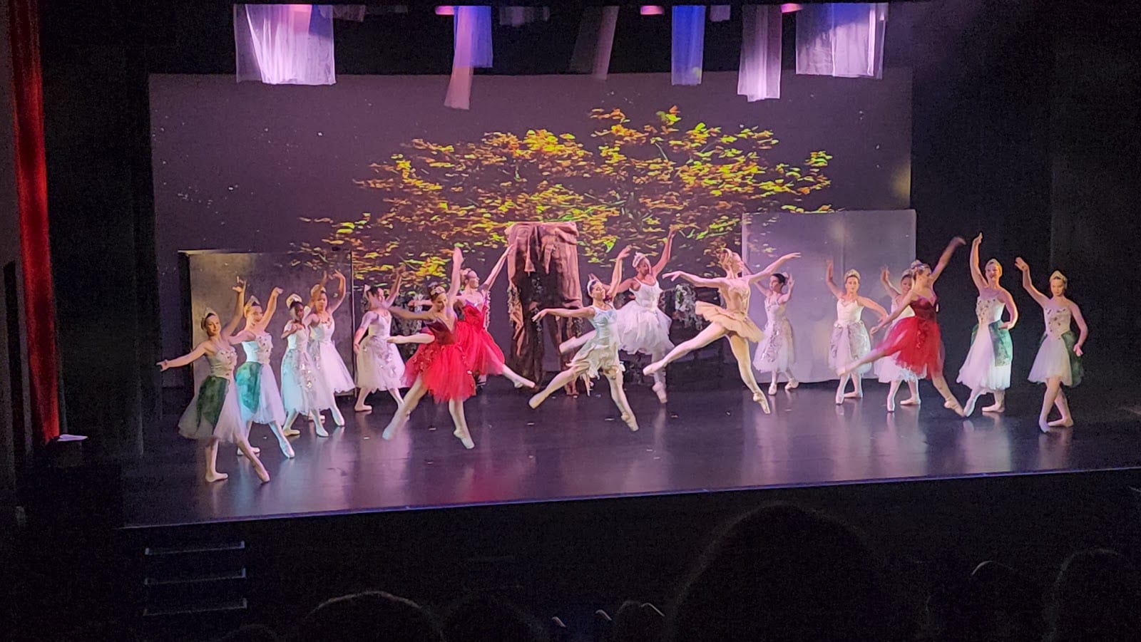 Tampa City Ballet Dance School
