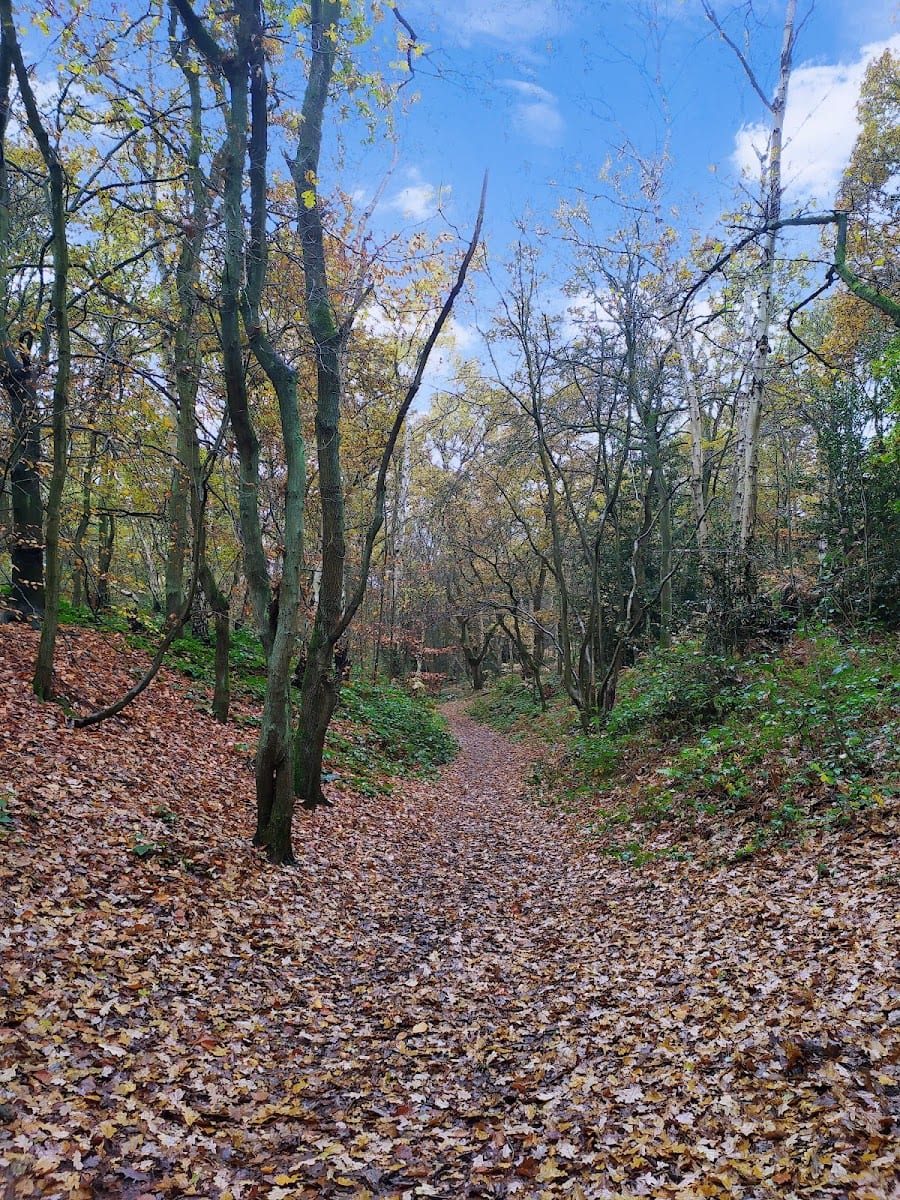 Mousehold Heath Public Car Park