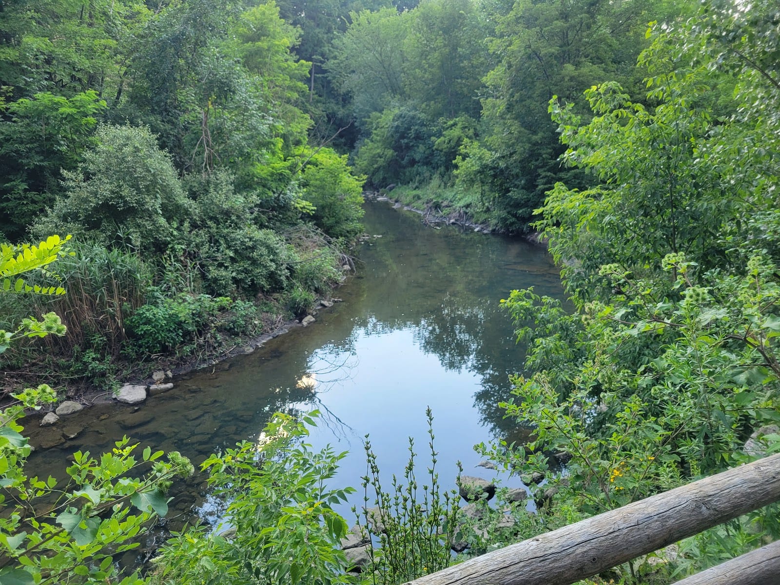 Warden Woods Off-Leash Dog Park
