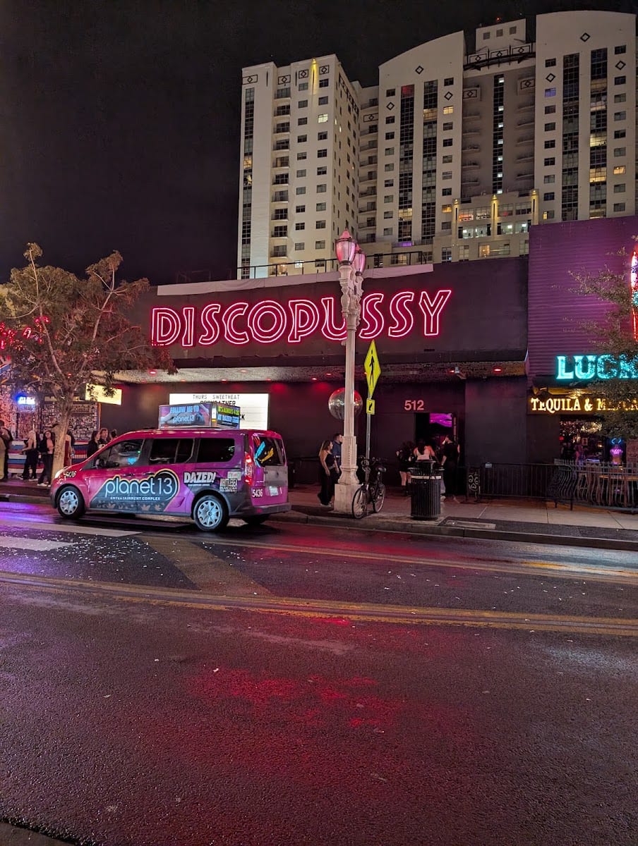 Discopussy, photo 4