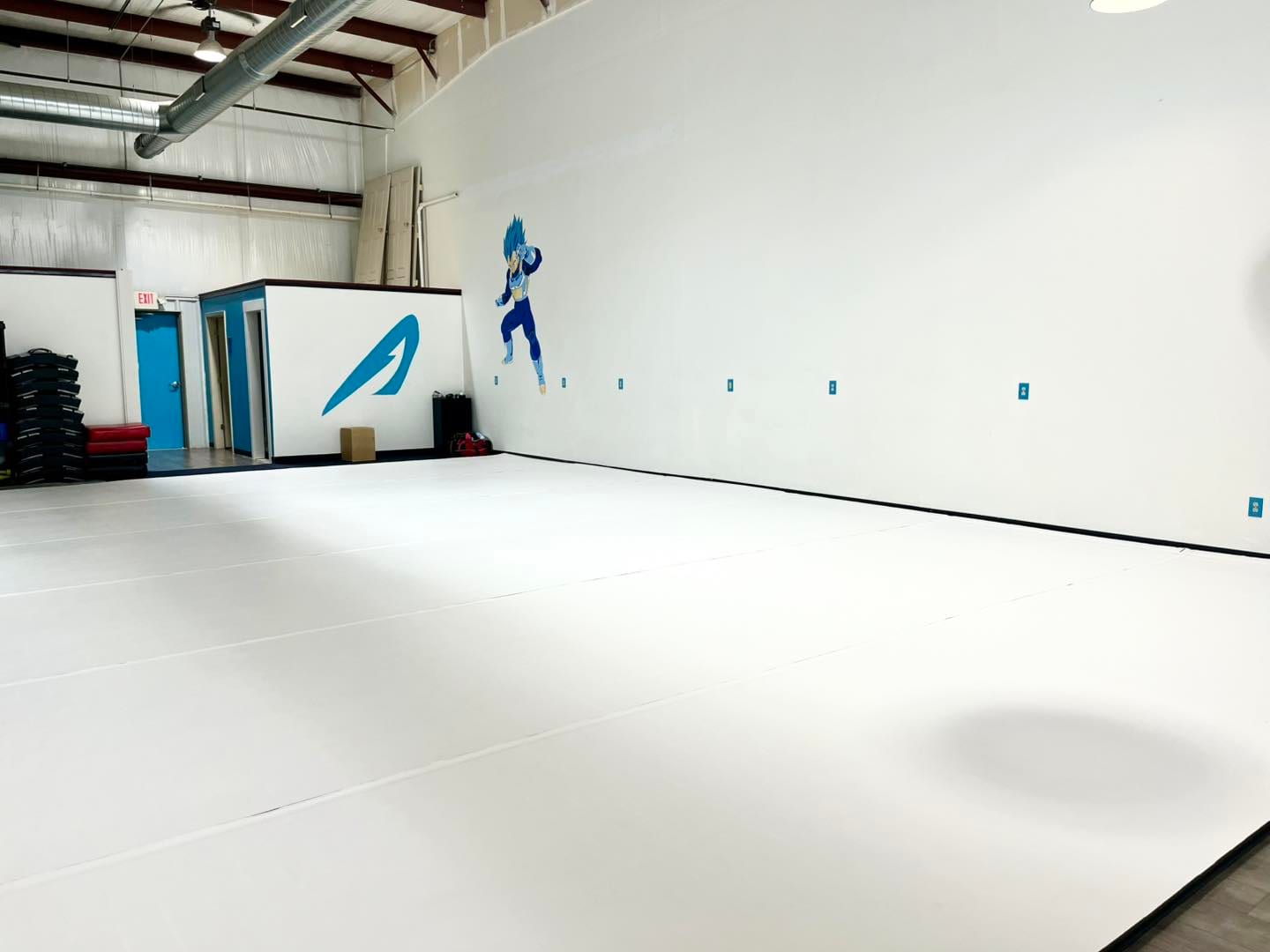 Ascension Martial Arts, photo 3
