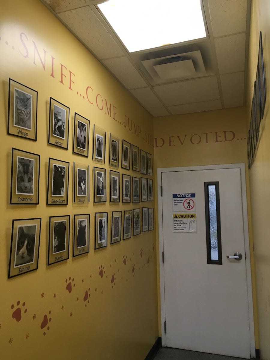 Electric City Animal Clinic, photo 4