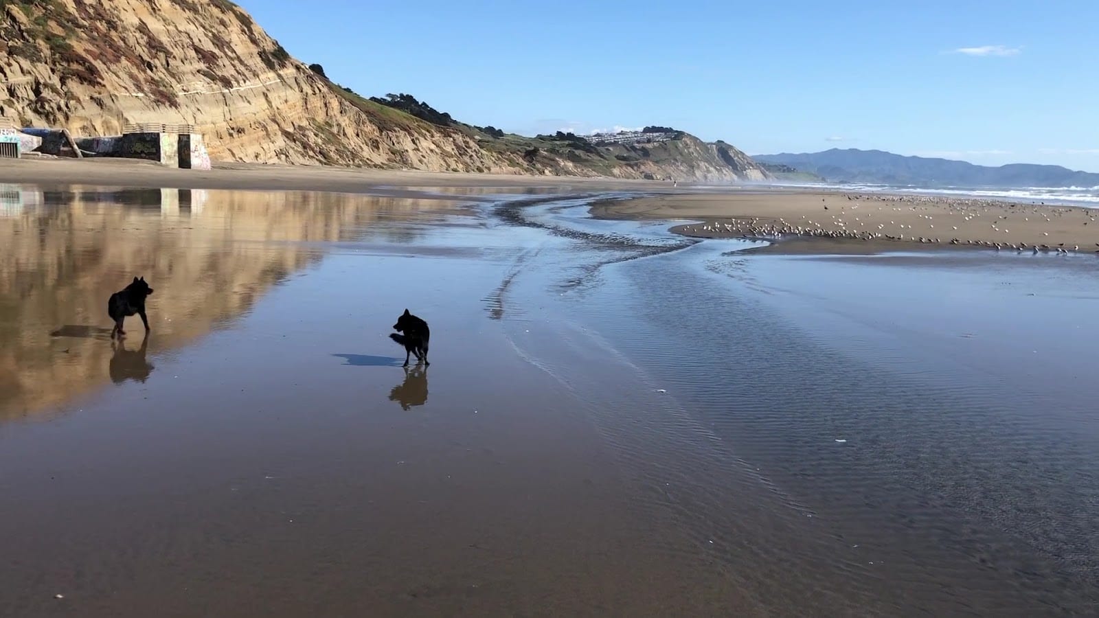 Fort Funston, photo 2