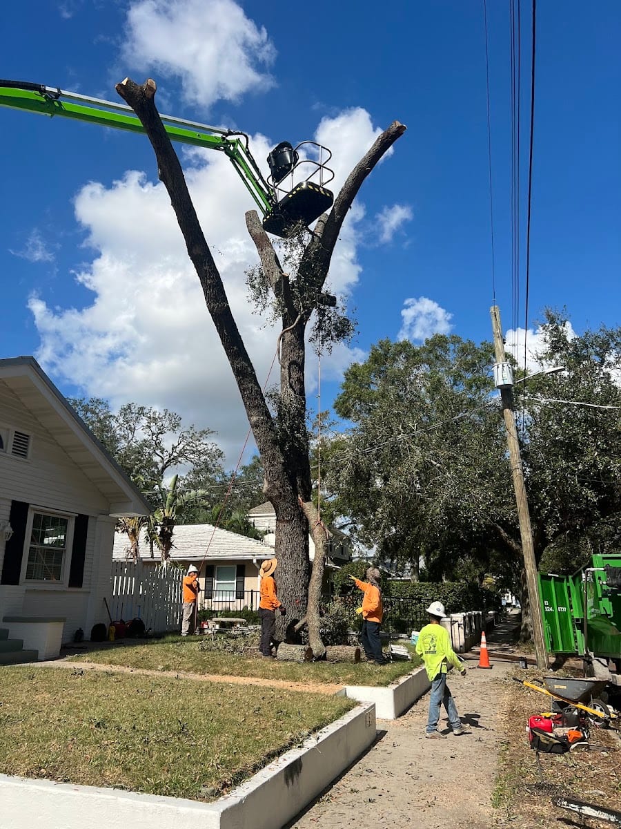 TCC Enterprise Landscape Services | Tampa Bay, photo 3