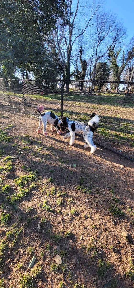 The Dog Park, photo 3