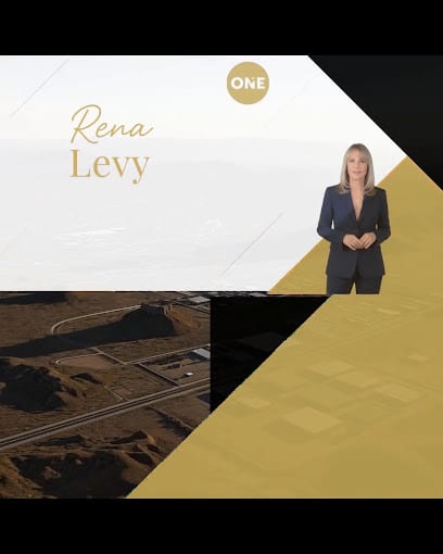 Rena Levy | Global Real Estate Advisor – Realty ONE Group
