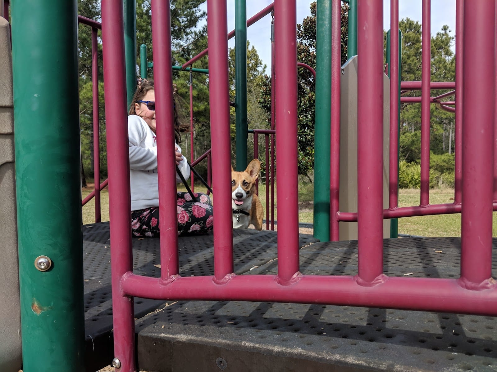Worthington Oaks Park, photo 2