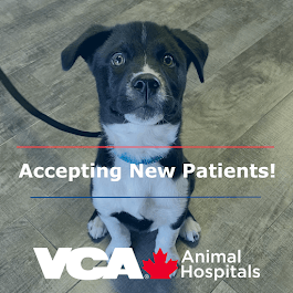 VCA Canada Richmond Hill Animal Hospital, photo 2