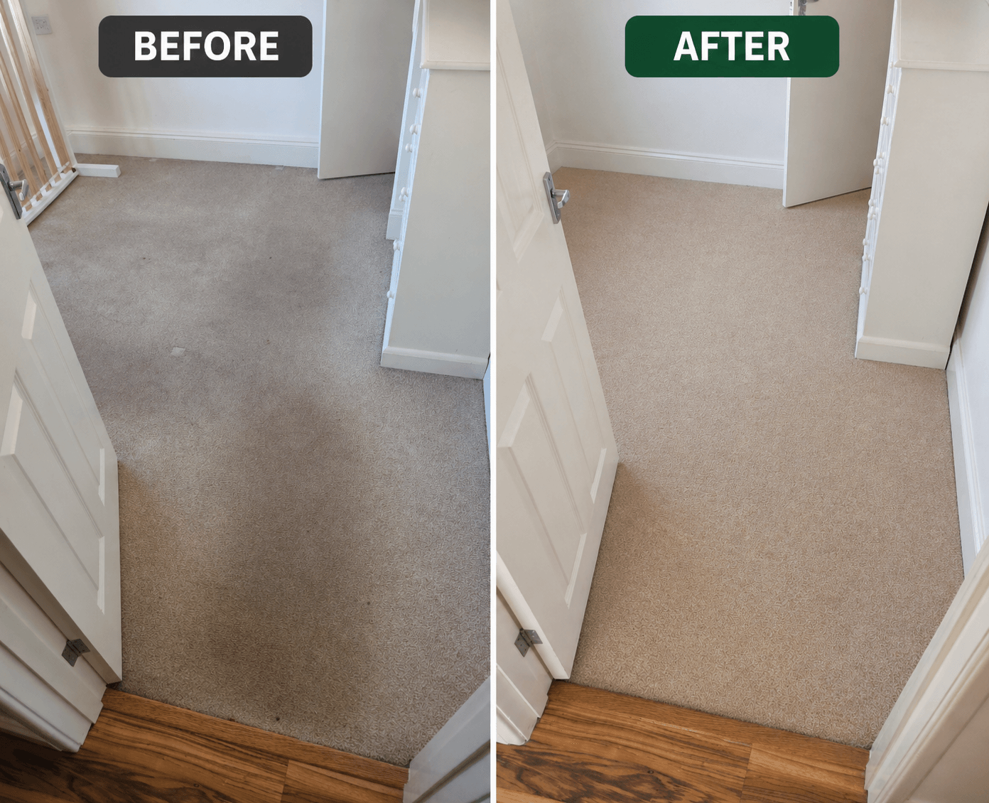 Mr Sanders - Professional Carpet & Upholstery Cleaning Norwich