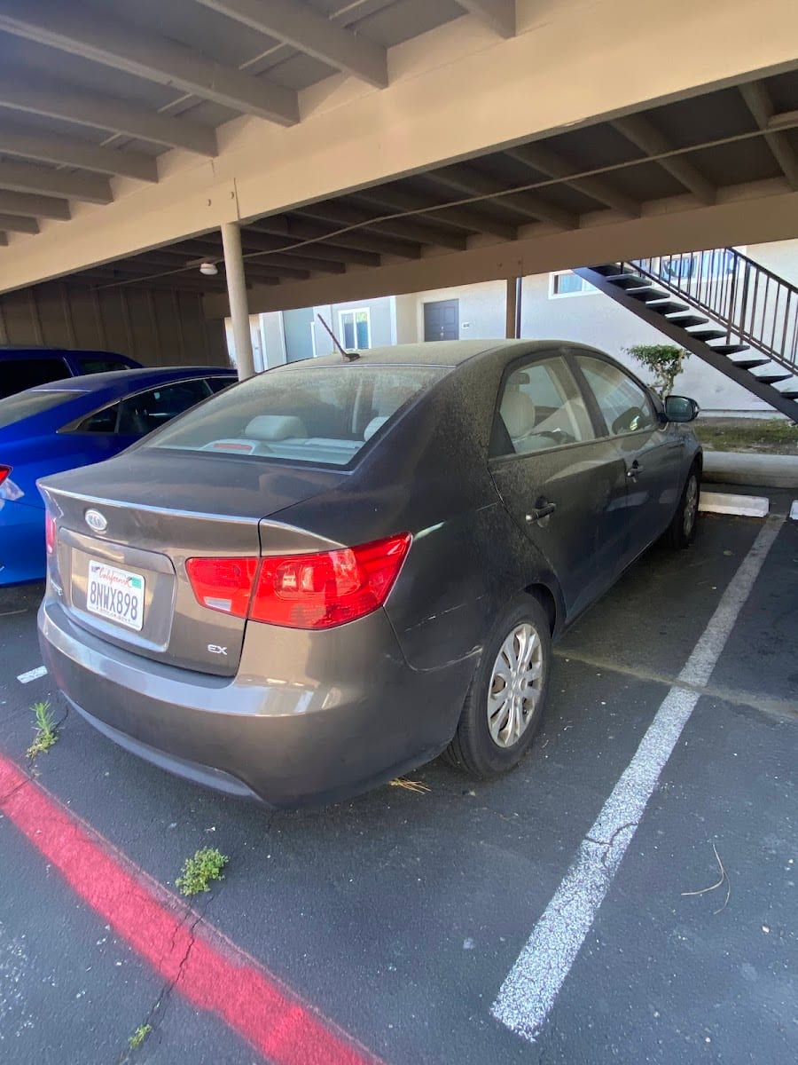 ATLAS AUTO SALON