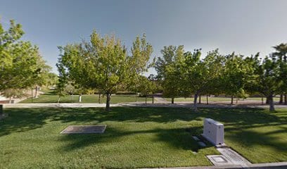 Summerlin Council